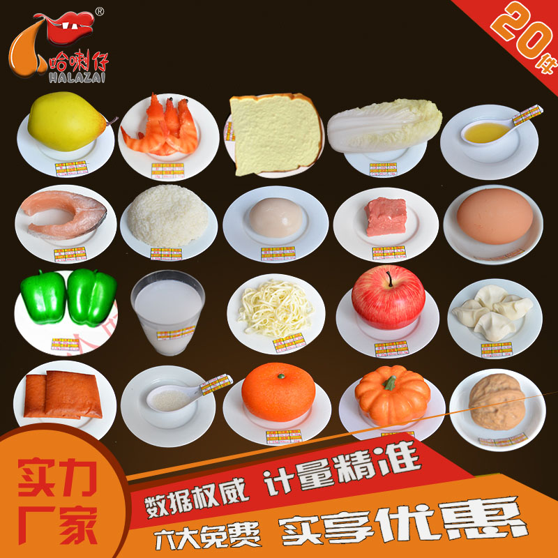 食物交換份模型20份